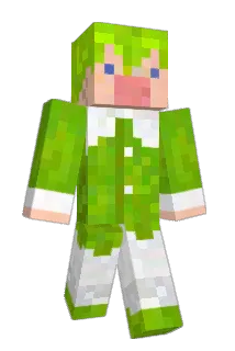 takojon Minecraft avatar full body