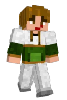 takokin_ Minecraft avatar full body