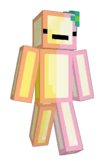 takomi404 Minecraft avatar full body