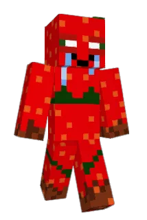 taliiyuh Minecraft avatar full body