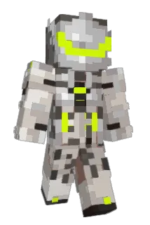 tam91 Minecraft avatar full body