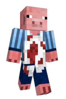 tamasz3k Minecraft avatar full body