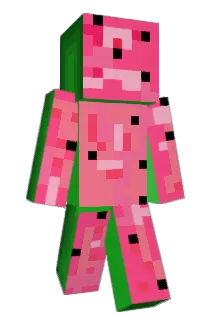 tamcam Minecraft avatar full body