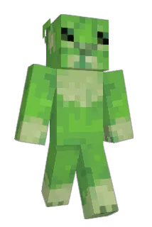 tami_zo Minecraft avatar full body