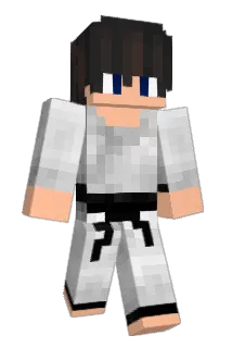 tandborste123 Minecraft avatar full body