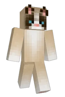 tank102202 Minecraft avatar full body