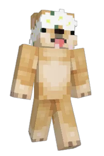 taowii Minecraft avatar full body