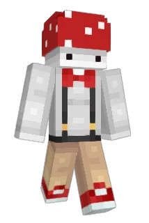 tapeunit Minecraft avatar full body