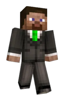 tashdingo Minecraft avatar full body