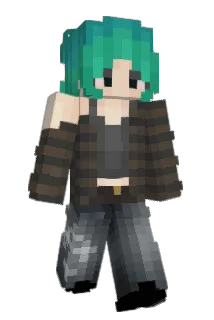 tassets Minecraft avatar full body