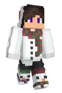 tastdovapo Minecraft avatar full body