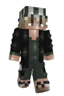 tatan882 Minecraft avatar full body