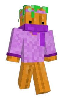 tattking Minecraft avatar full body