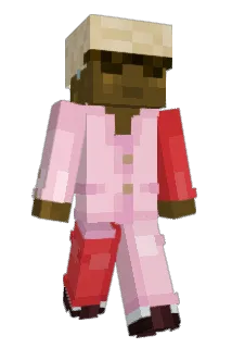 taxevaderz Minecraft avatar full body