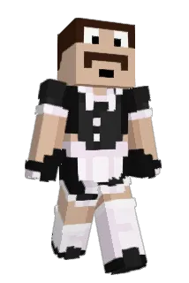 taydookie Minecraft avatar full body