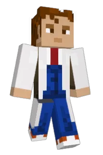 taylor2591 Minecraft avatar full body