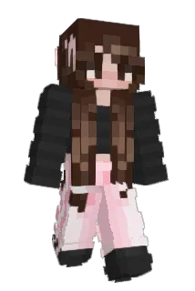 taylorrehann Minecraft avatar full body
