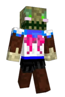 tbv1000 Minecraft avatar full body