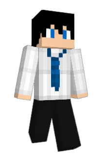 tcct Minecraft avatar full body
