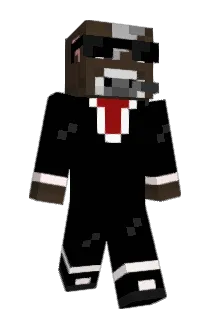 tchris2014 Minecraft avatar full body