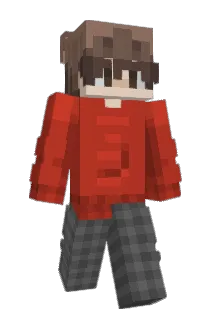 tcnxy Minecraft avatar full body