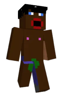 tcsv Minecraft avatar full body