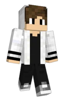 td11111 Minecraft avatar full body