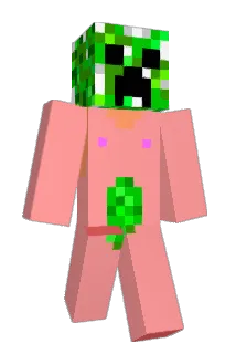 tdc0505 Minecraft avatar full body