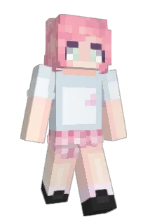 tdto Minecraft avatar full body