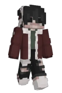 teamced Minecraft avatar full body