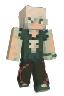 techhop Minecraft avatar full body