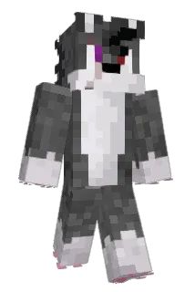 technoblade6624 Minecraft avatar full body
