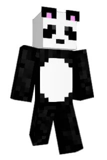 teemeteed Minecraft avatar full body