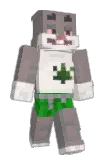 teex05 Minecraft avatar full body