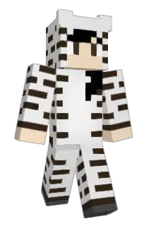 tein Minecraft avatar full body