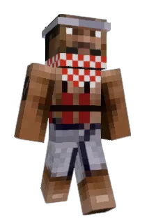 tejp8 Minecraft avatar full body