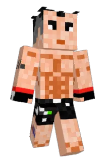 temp419790 Minecraft avatar full body