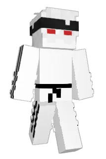 temqbtw Minecraft avatar full body