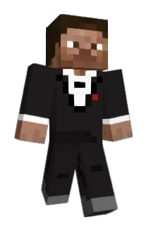 tenwronaty Minecraft avatar full body