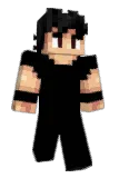 ter9 Minecraft avatar full body
