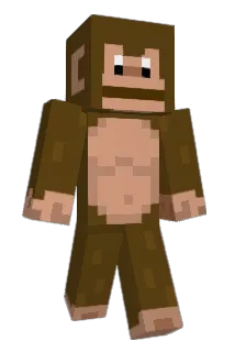 terdynerdy12 Minecraft avatar full body
