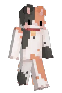 terencat Minecraft avatar full body