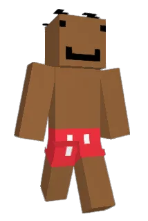tering_lijers Minecraft avatar full body
