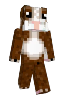 teriyakipro Minecraft avatar full body
