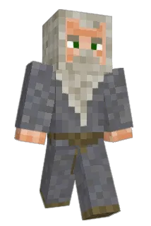 terminator1549 Minecraft avatar full body