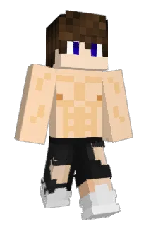 terrydestroyer Minecraft avatar full body