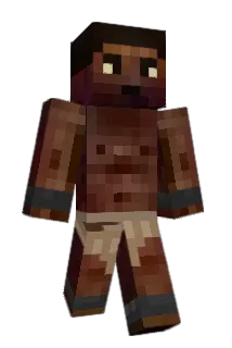 tete_010 Minecraft avatar full body
