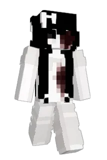 tetrissini Minecraft avatar full body
