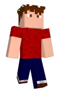 texan69 Minecraft avatar full body