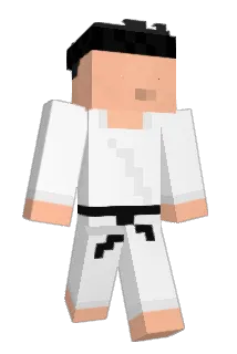 tfao Minecraft avatar full body